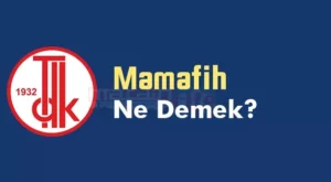 Mamafih Nedir? Mamafih Ne Demek? Mamafih Hangi Dil?