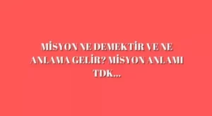 Misyon Ne Demek? Misyon Nasıl Yazılır? Misyon ve Vizyon Farkı Nedir?