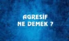 Agresif Ne Demek? Tıpta Agresif Ne Demek? Agresif İnsan Ne Demek?