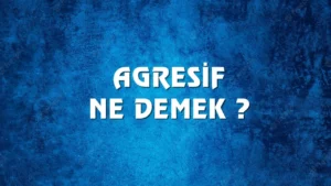 Agresif Ne Demek? Tıpta Agresif Ne Demek? Agresif İnsan Ne Demek?