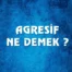 Agresif Ne Demek? Tıpta Agresif Ne Demek? Agresif İnsan Ne Demek?