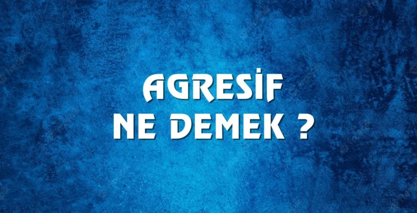 Agresif Ne Demek? Tıpta Agresif Ne Demek? Agresif İnsan Ne Demek?