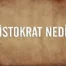 Aristokrat Ne Demek? Aristokratik Yapılanma Nedir? Aristokratik Güç Nedir?