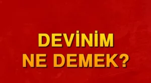 Devinim Ne Demek? Felsefede ve Edebiyatta Devinim Ne Anlama Geliyor?