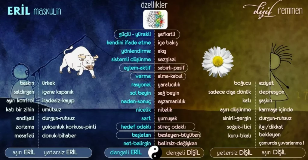 Disil Ve Eril Ne Demek