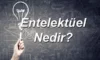 Entelektüel Ne Demek? Entelektüel İnsan Ne Demek? Felsefede Entelektüel Ne Demek?