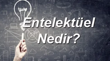Entelektüel Ne Demek? Entelektüel İnsan Ne Demek? Felsefede Entelektüel Ne Demek?