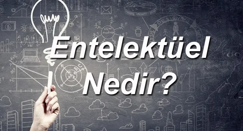 Entelektüel Ne Demek? Entelektüel İnsan Ne Demek? Felsefede Entelektüel Ne Demek?