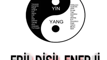 Eril Ne Demek? Eril Enerji Ne Demek? Dişil ve Eril Ne Demek?