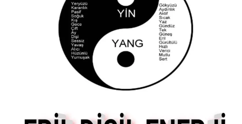 Eril Ne Demek? Eril Enerji Ne Demek? Dişil ve Eril Ne Demek?