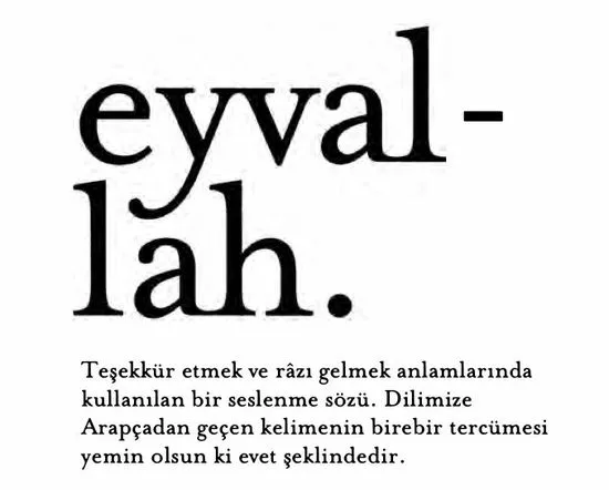 Eyvallah Kullaniminin Farkli Baglamlari