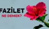 Fazilet Ne Demek? Fazilet İçeren Öğretiler Ne Demek? Faziletli Ne Demek?