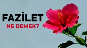 Fazilet Ne Demek? Fazilet İçeren Öğretiler Ne Demek? Faziletli Ne Demek?