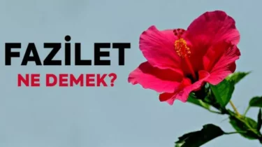 Fazilet Ne Demek? Fazilet İçeren Öğretiler Ne Demek? Faziletli Ne Demek?