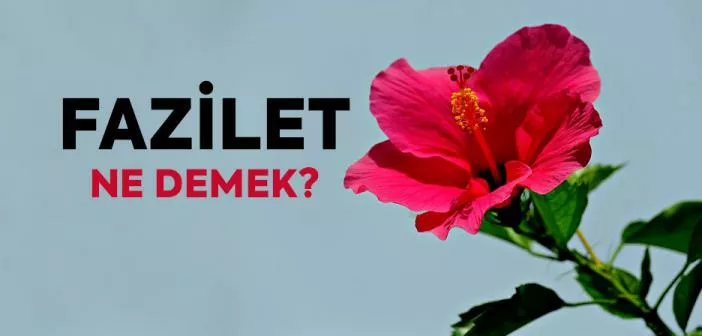 Fazilet Ne Demek? Fazilet İçeren Öğretiler Ne Demek? Faziletli Ne Demek?