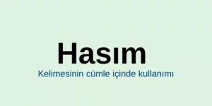 Hasım Ne Demek? Hasım Olmak Ne Demek? Hukukta Hasım Ne Demek?