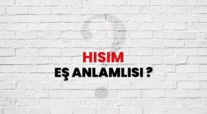 Hısım Ne Demek? Sıhri Hısım Ne Demek? Hısım Eş Anlamlısı ve Kökeni