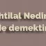 İhtilal Ne Demek? Tarihteki ve Osmanlı’daki Anlamı