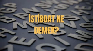 İstibdat Ne Demek? İstibdat Dönemi Nedir? İstibdat TDK Anlamı