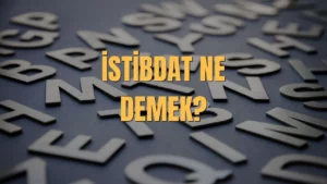 İstibdat Ne Demek? İstibdat Dönemi Nedir? İstibdat TDK Anlamı