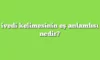 İvedi Ne Demek? İvedi Şekilde Ne Demek? İvedi Ne Demek Eş Anlamlısı