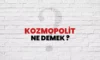 Kozmopolit Ne Demek? Kozmopolit Devlet ve Kozmopolit Yapı Ne Demek?