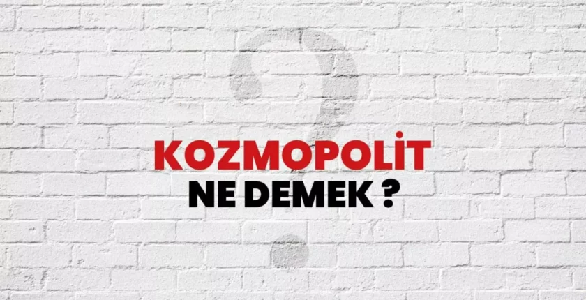 Kozmopolit Ne Demek? Kozmopolit Devlet ve Kozmopolit Yapı Ne Demek?